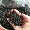 TIÊU HẠT (500 GRAM)