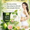 Trà Ổi Giảm Cân