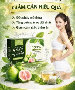 Trà Ổi Giảm Cân